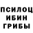 Галлюциногенные грибы GOLDEN TEACHER mlp VegaTM