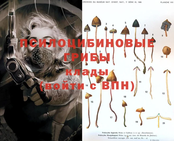 сатива Бронницы