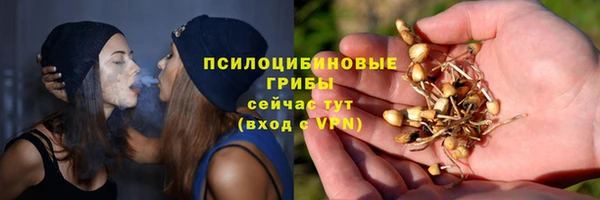 сатива Бронницы
