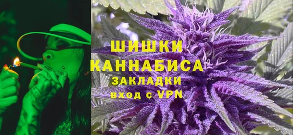 сатива Бронницы