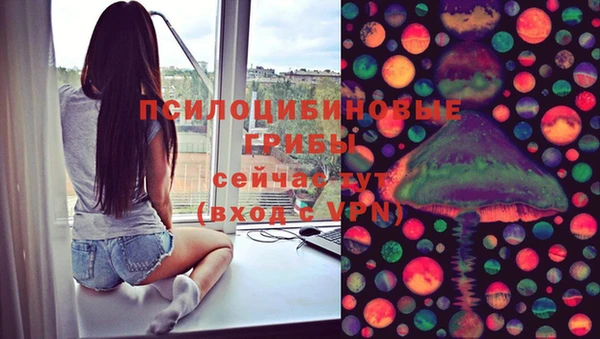 сатива Бронницы