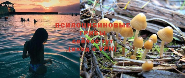 MDMA Premium VHQ Бородино
