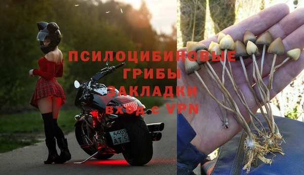бошки Бугульма