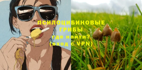 бошки Бугульма