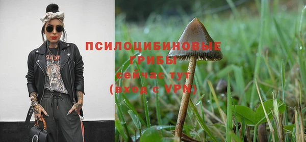 бошки Бугульма